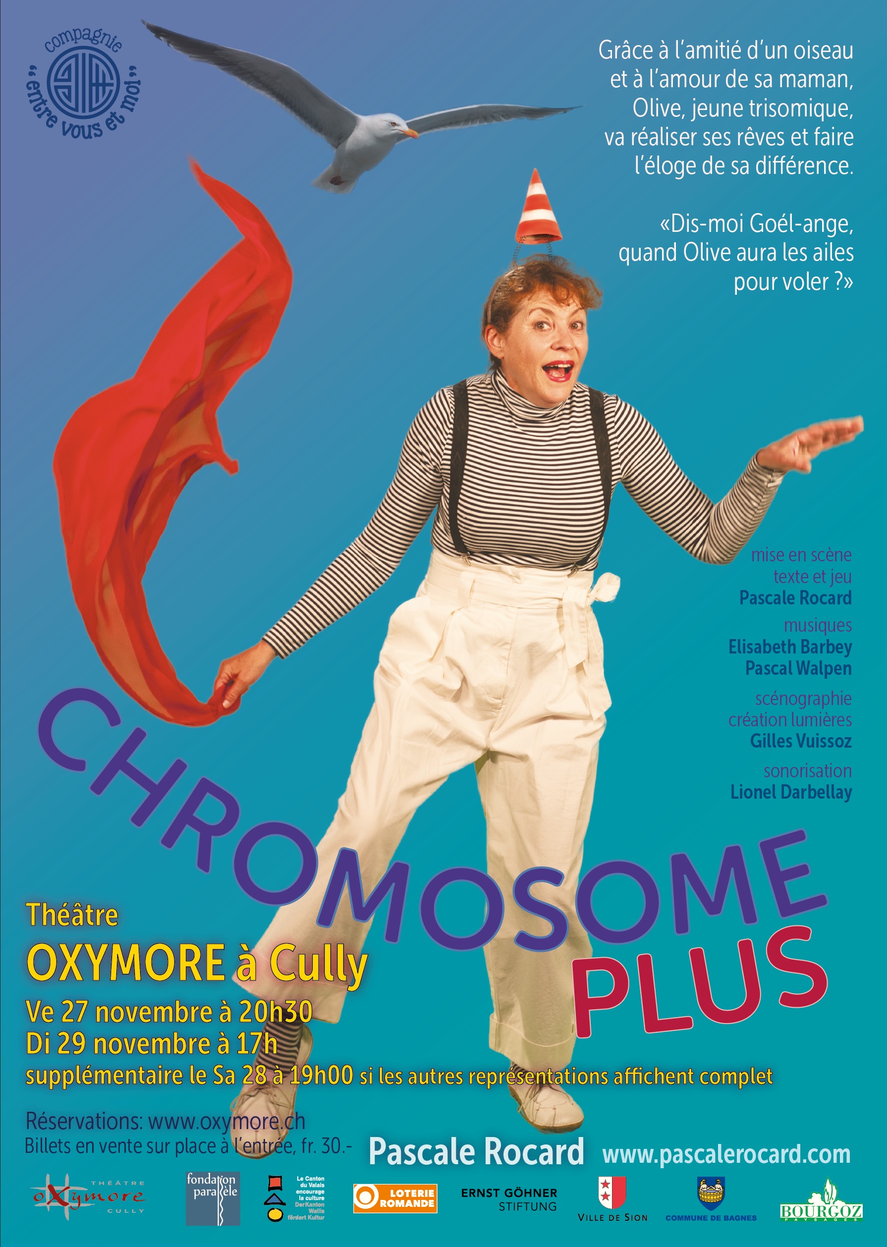 Chromosome plus- Fanny©entrevousetmoi