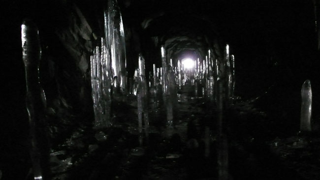 Stalagmites©P.Rocard   Dans le coeur de la terre les stalagmittes cherchent la lumière.
